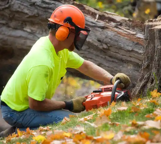 tree services Roseland